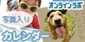 オンラインラボ