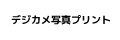�ǥ�����̿��ץ���