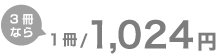 3���ʤ� 1��/1,024��
