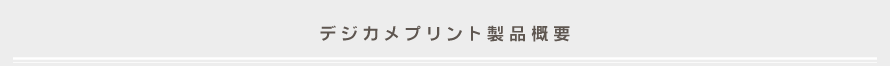 デジカメプリント製品概要