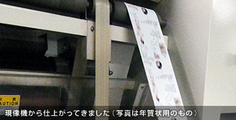 現像機空仕上がってきました。(写真は年賀状のもの)