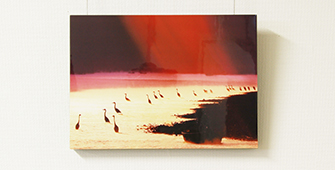sample