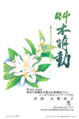 SNH-125