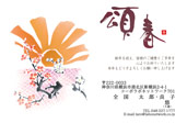 SNH-158